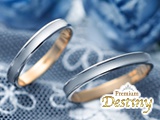 Premium Destiny�ڥ����