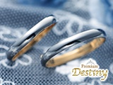 Premium Destiny�ڥ����