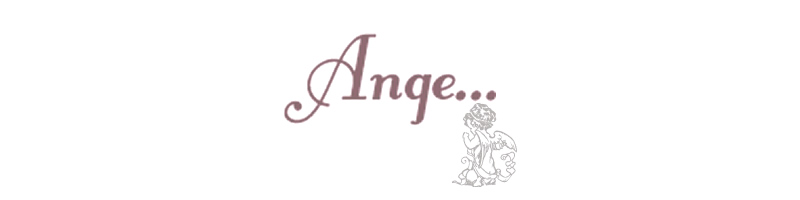 結婚指輪 ブランド ange プラチナ ホワイトゴールド