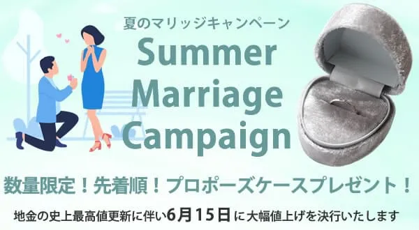 値上げ×プロポーズケースキャンペーン
