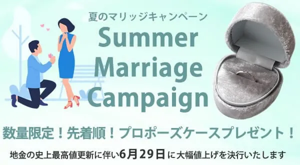 値上げ×プロポーズケースキャンペーン