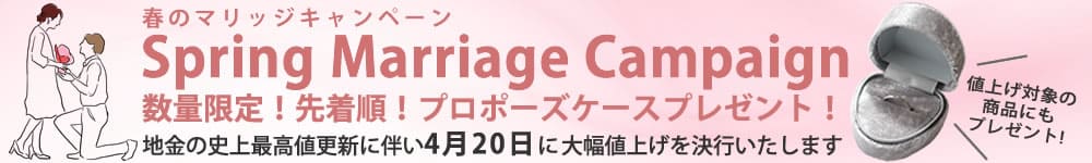 値上げ×プロポーズケースキャンペーン