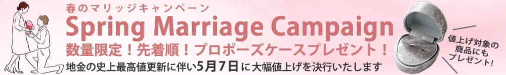 値上げ×プロポーズケースキャンペーン