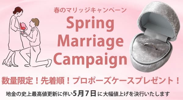 値上げ×プロポーズケースキャンペーン