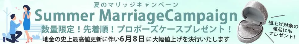 値上げ×プロポーズケースキャンペーン