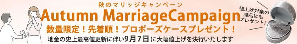 値上げ×プロポーズケースキャンペーン