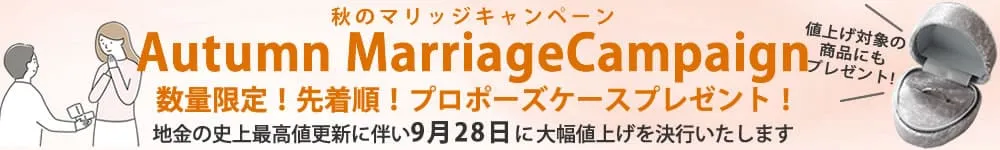 値上げ×プロポーズケースキャンペーン