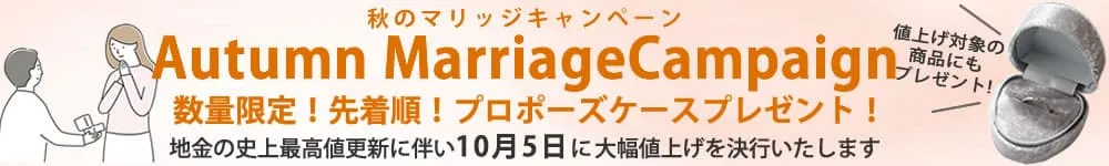 値上げ×プロポーズケースキャンペーン