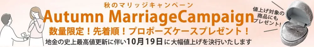 値上げ×プロポーズケースキャンペーン