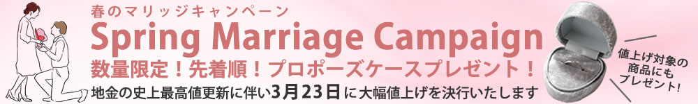 値上げ×プロポーズケースキャンペーン