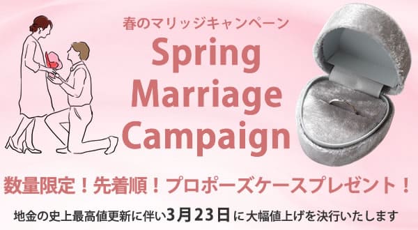値上げ×プロポーズケースキャンペーン