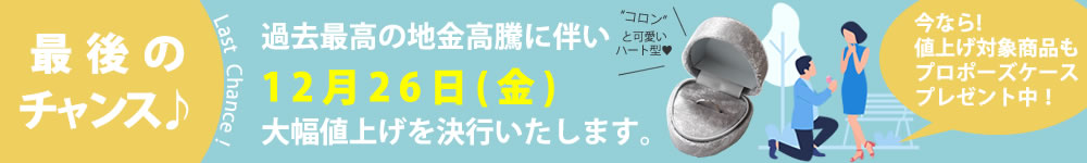値上げ×プロポーズケースキャンペーン