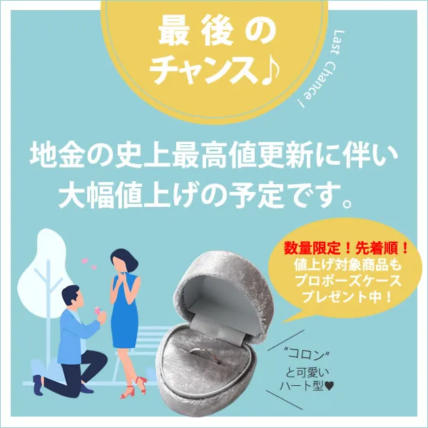 値上げ×プロポーズケースキャンペーン