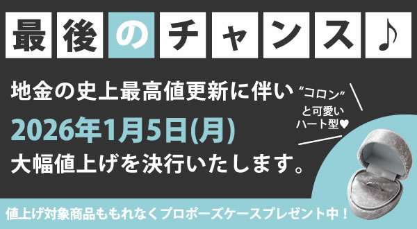 値上げ×プロポーズケースキャンペーン