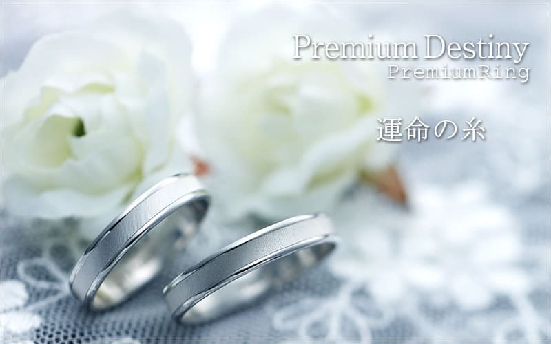【結婚指輪】Premium Destiny