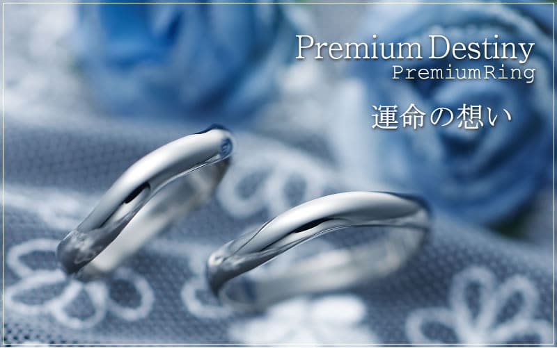 【結婚指輪】Premium Destiny