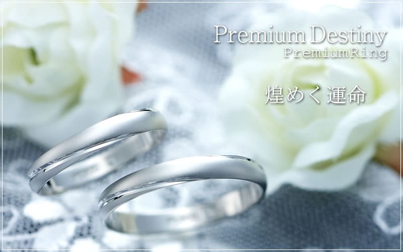 【結婚指輪】Premium Destiny 