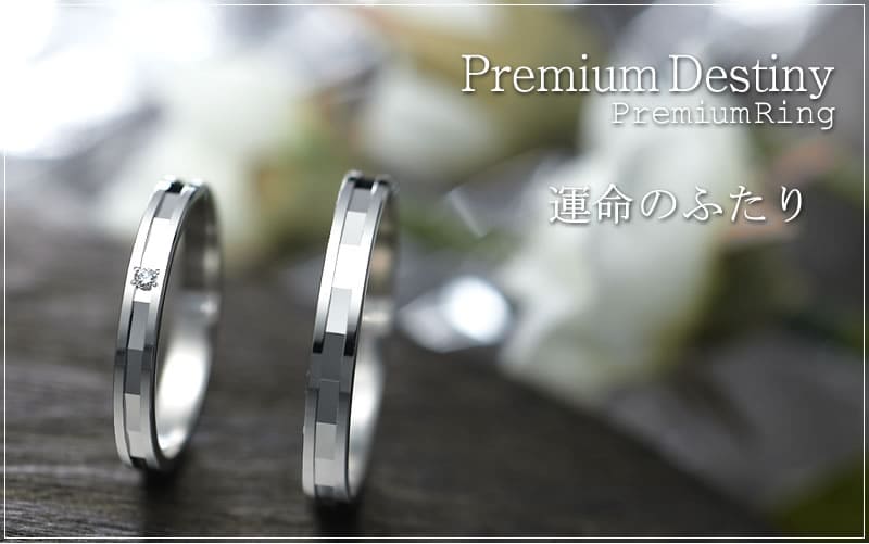 【結婚指輪】Premium Destiny 