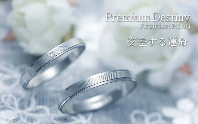【結婚指輪】Premium Destiny