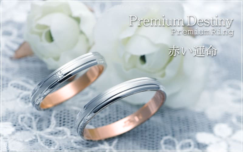【結婚指輪】Premium Destiny 
