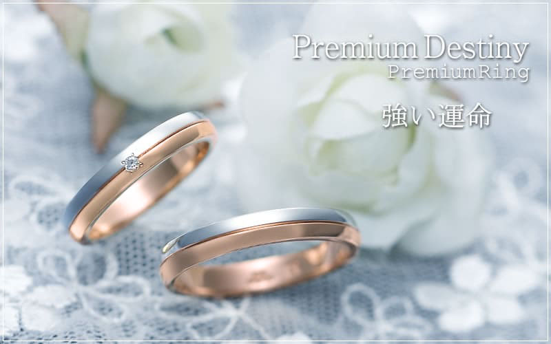 【結婚指輪】Premium Destiny 