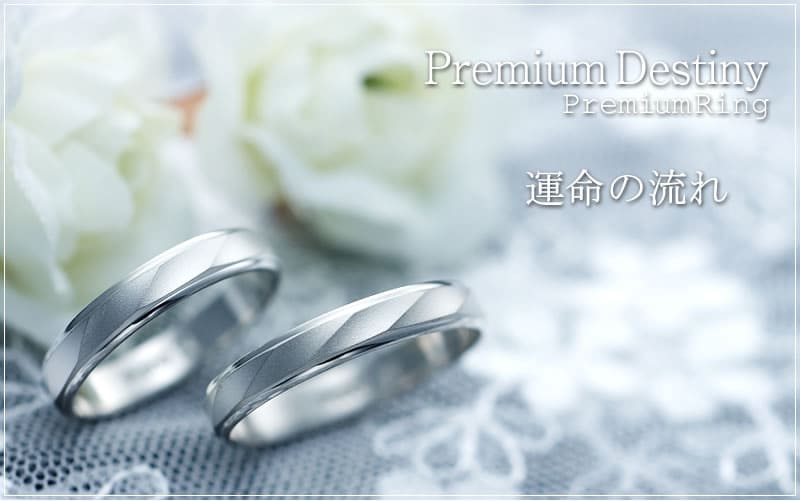【結婚指輪】Premium Destiny 