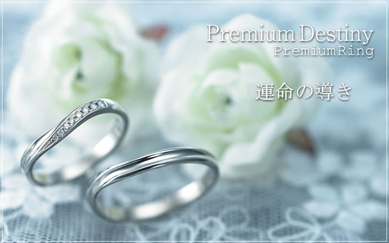 【結婚指輪】Premium Destiny