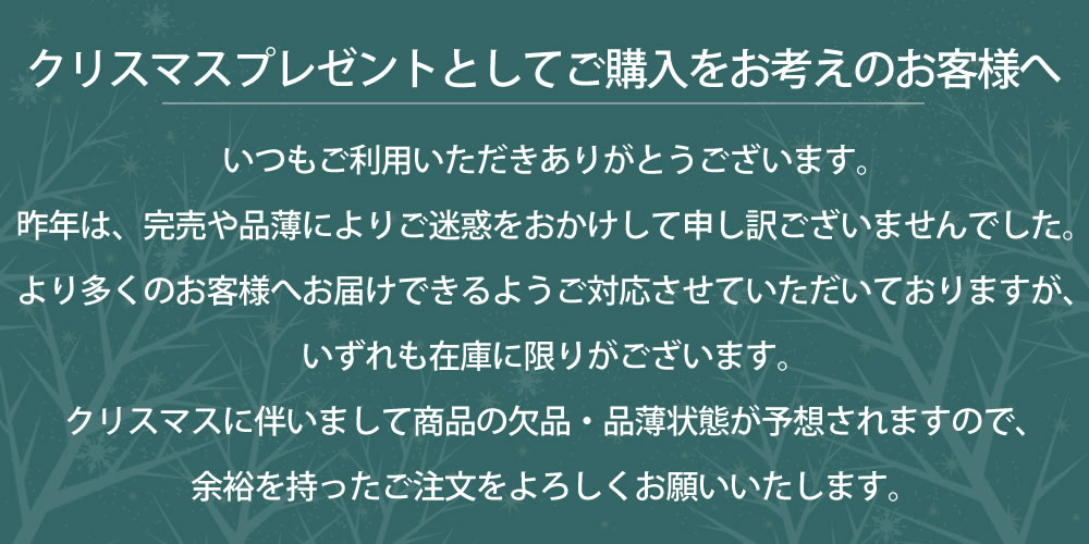 クリスマス案内