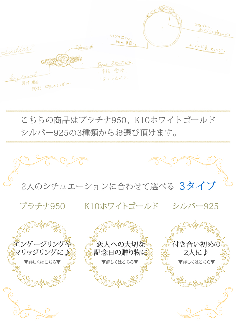 講師紹介