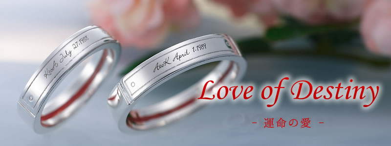 LOVE of Destiny ~運命の愛~