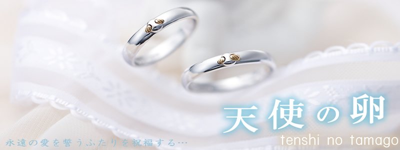 天使の卵