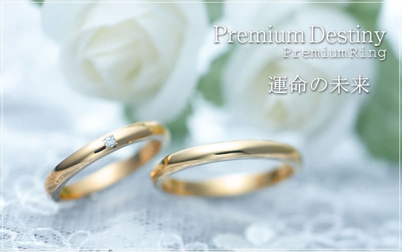 【結婚指輪】Premium Destiny