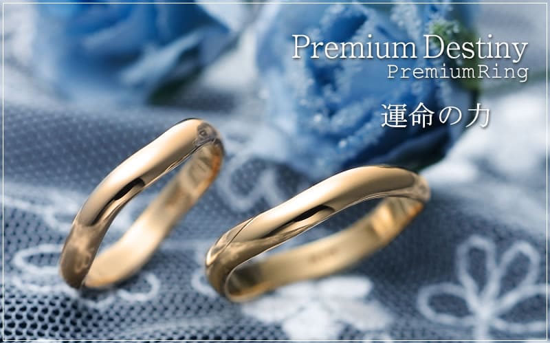 Premium Destiny ペアリング