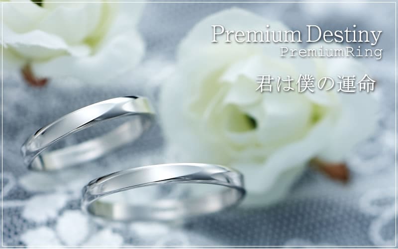 【結婚指輪】Premium Destiny 