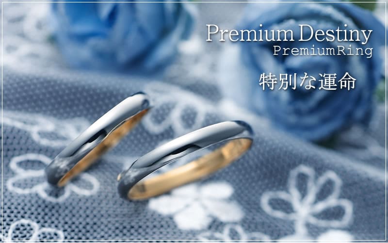Premium Destiny ペアリング