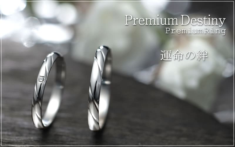 【結婚指輪】Premium Destiny 